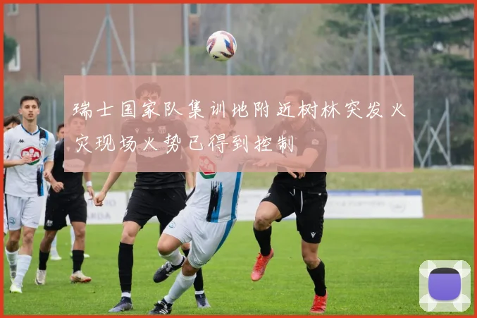 瑞士国家队集训地附近树林突发火灾现场火势已得到控制