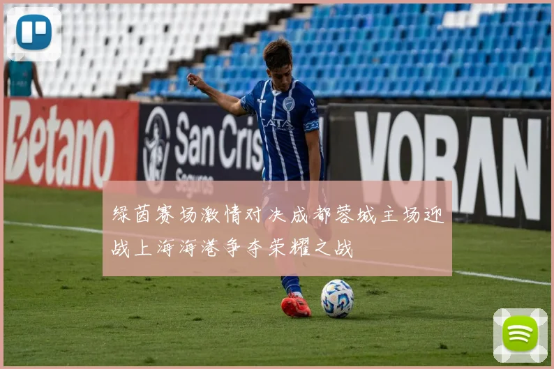 绿茵赛场激情对决成都蓉城主场迎战上海海港争夺荣耀之战