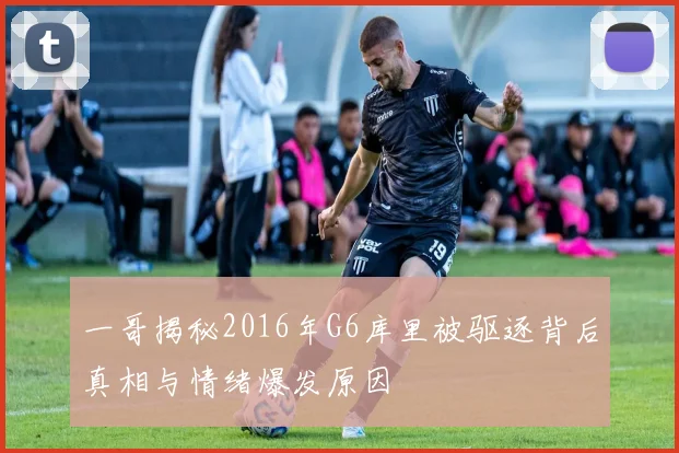 一哥揭秘2016年G6库里被驱逐背后真相与情绪爆发原因